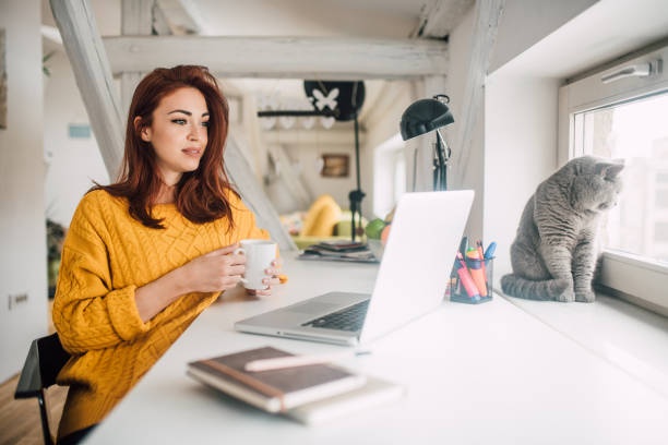 pretty young redhead working on a laptop - business business person ceo coffee imagens e fotografias de stock