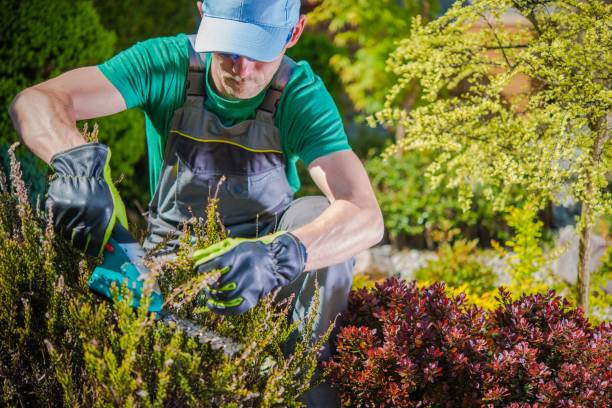 istock Gardener Working in a Garden 1128257759