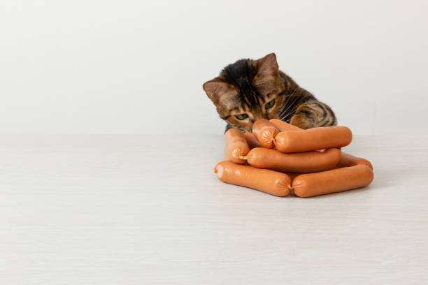 istock Domestic cat steals sausage on table 1128258957