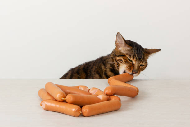 istock Domestic cat steals sausage on table 1128258959