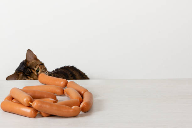 istock Hungry cat being tempted by sausages on table 1128258966