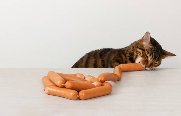 istock Hungry cat steals sausage on table 1128258969