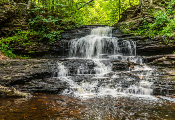istock Onondaga Waterfall in Ricketts Glen State Park 1128260436