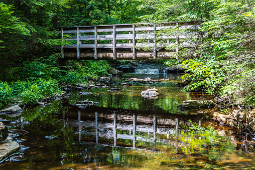 A pedestrian bridge is reflected in the calm waters of Kitchen Creek in Ricketts Glen State Park of Pennsylvania.