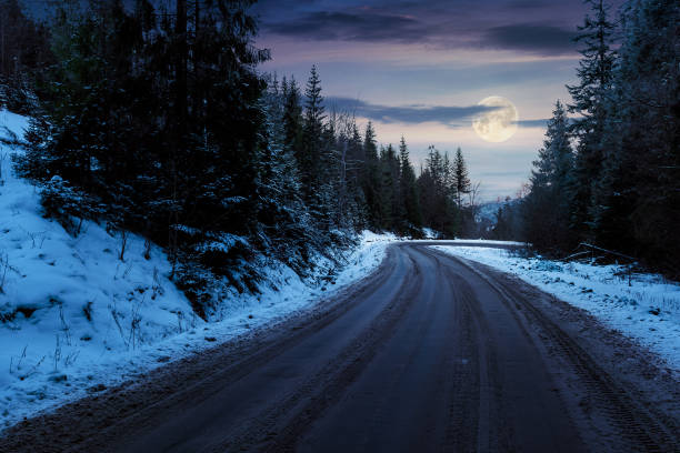 road through forest in mountains at night