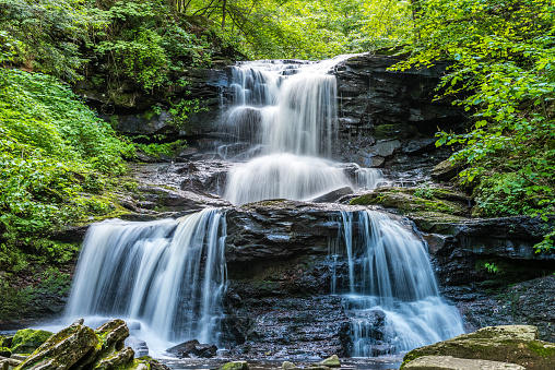 The waters of Kitchen Creek split on a lower level of Tuscarora Falls in Ricketts Glen State Park of Pennsylvania.