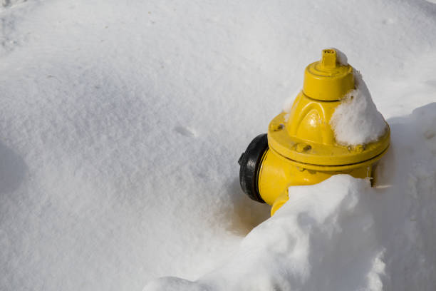 istock fire hydrant in the snow 1128262999