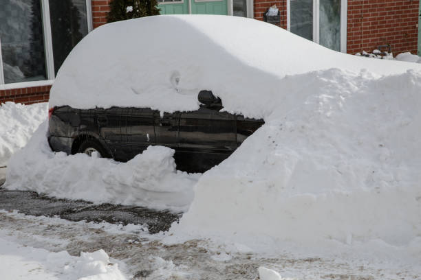 corvered car by snow