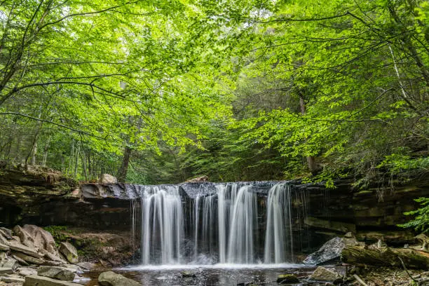 A canopy of green shades the summer waters of Kitchen Creek at Oneida Falls in Ricketts Glen State Park of Pennsylvania.