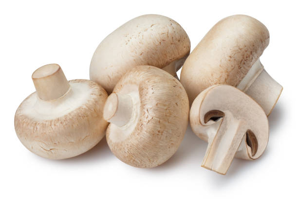 istock Mushrooms on white 1128264924