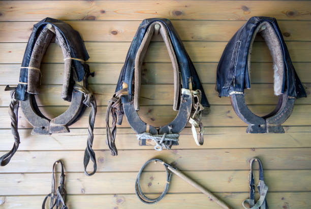istock Clamps and other accessories for horse carriage 1128268164