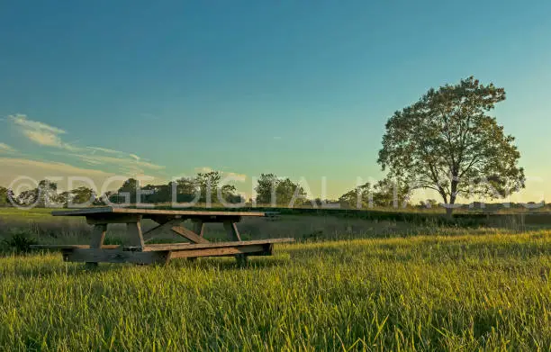 low angle of picnic table at sunset with blue sky and lone tree in natural parkland.