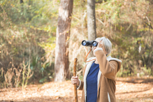 One active senior adult woman hiking in wooded forest area.  She holds a walking stick and binoculars.  Caucasian ethnicity.