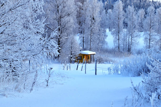 istock Snow covered winter sauna in Finland 1128272275