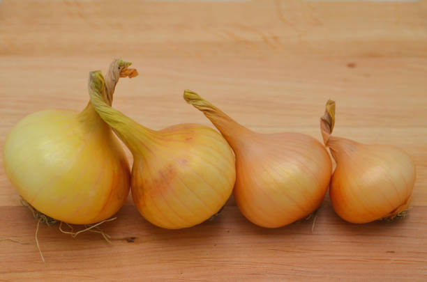 istock Onions (Allium cepa) on a wooden table. 1128272516
