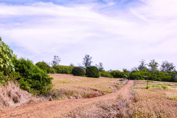 istock Road in the interior of Brazil. 1128273308
