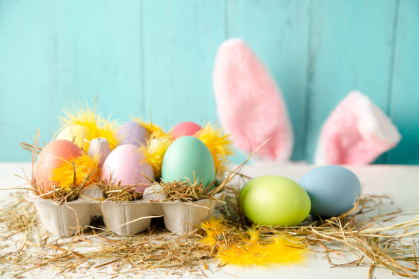 composition de pâques en couleurs pastel avec des oeufs et des oreilles de lapin - birds nest animal nest animal egg blue photos et images de collection