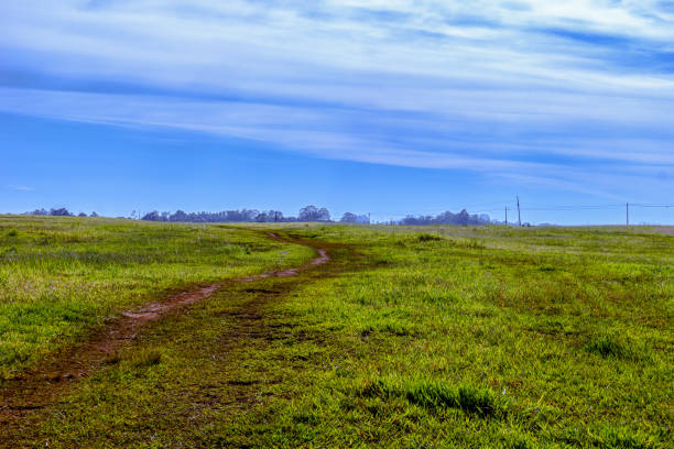 Photo taken on the road near Londrina city in Brazil. Post processing Adobe Lightroom and Adobe Photoshop.