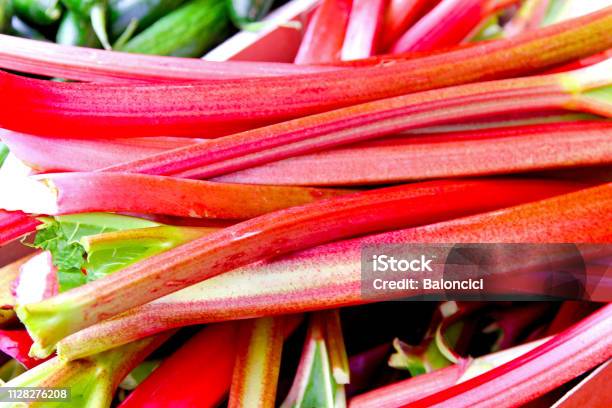 Fresh Rhubarb Stock Photo - Download Image Now - Rhubarb, UK, Freshness