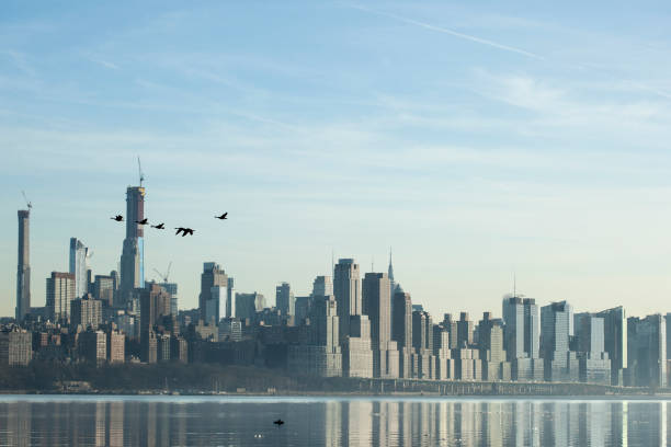 Canada goose new york new york ny 10012 Clearance