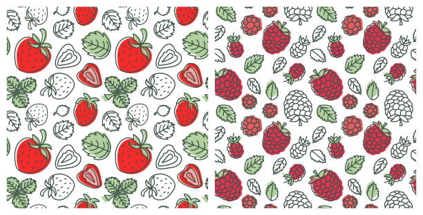 원활한 패턴 집합입니다. 달콤한 베리 컬렉션입니다. 딸기 그리고 딸기입니다. 손으로 그린 색 벡터 스케치 배경입니다. 다채로운 낙서 배경 화면입니다. 여름 인쇄 - wallpaper pattern raspberry pattern seamless stock illustrations