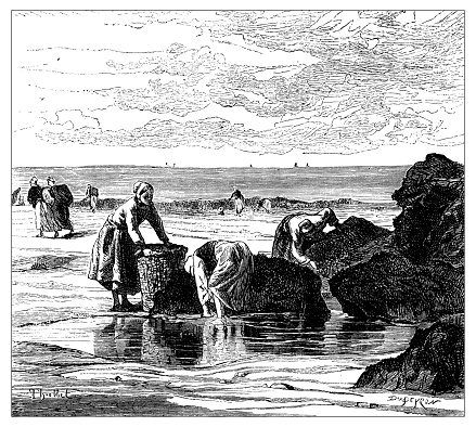 Antique illustration of scientific discoveries: Fish farming