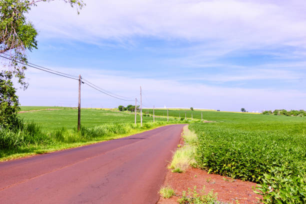 istock Road in the interior of Brazil. 1128283209