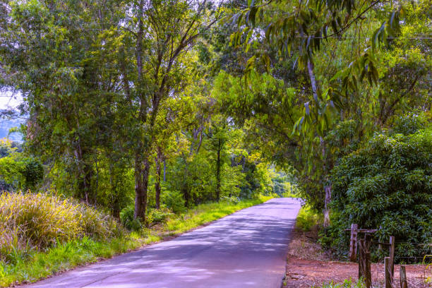 istock Road in the interior of Brazil. 1128284535