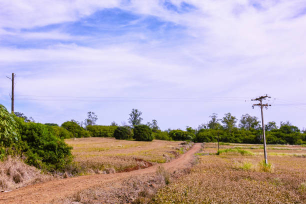 istock Road in the interior of Brazil. 1128284592