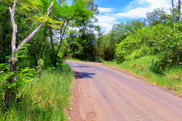 istock Road in the interior of Brazil. 1128287900