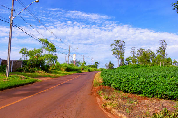 istock Road in the interior of Brazil. 1128288372