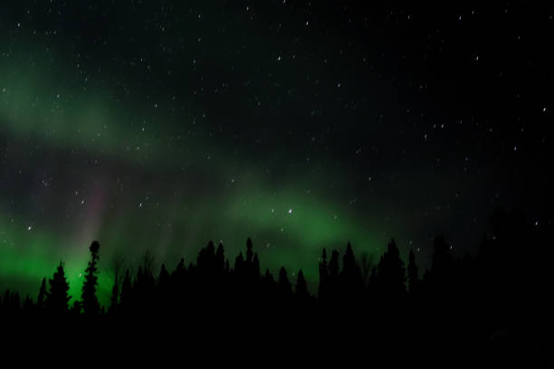 Northern Lights Over Labrador stock photo