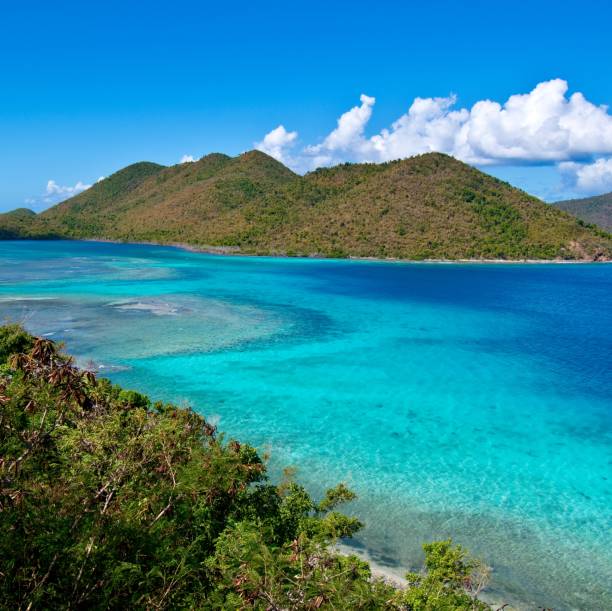 istock Annaberg Historic District, St Johns Islands, US Virgin Islands National Park 1128294652