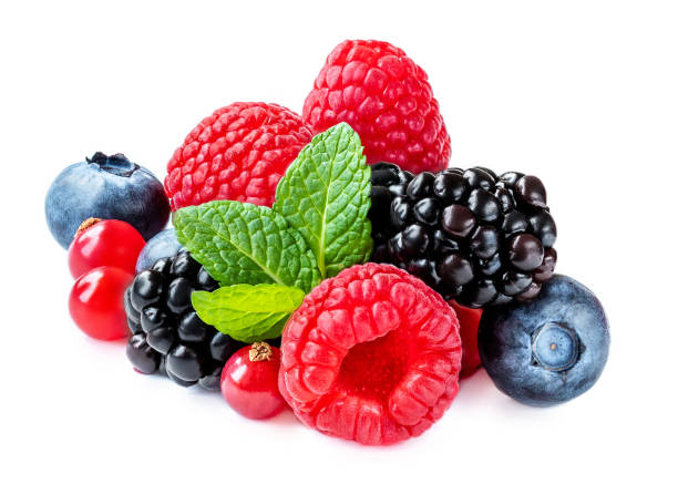 announcer Hovedløse kasseapparat Mix Berries With Leaf Various Fresh Berries Isolated On White Background  Raspberry Blueberry Cranberry Blackberry And Mint Leaves Stock Photo -  Download Image Now - iStock