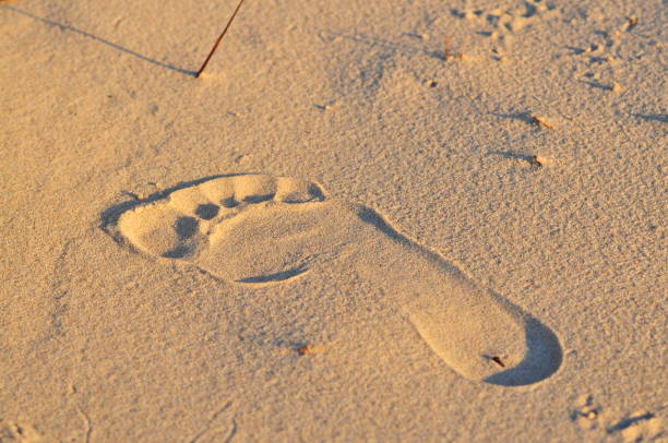 istock Human footprint in the sand. 1128297573