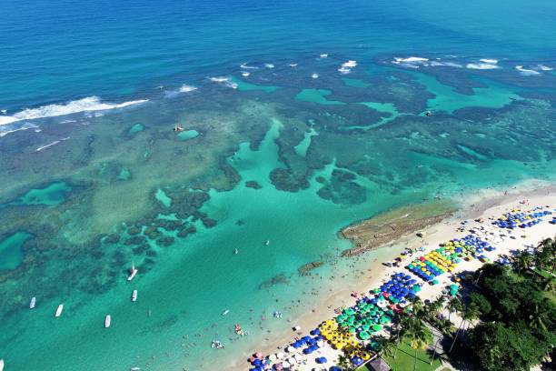 Porto de Galinhas beaches, Pernambuco, Brazil: great travel destination, tropical travel! Aerial view Porto de Galinhas Beaches, Pernambuco, Brazil: unique experience of swimming in means to fish in natural pools. Fantastic vacation travel. Great beach scene. Beautiful landscape. Great travel destination. cristian stock pictures, royalty-free photos & images