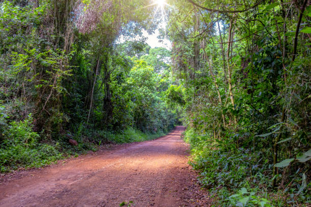 istock Road in the interior of Brazil. 1128307554