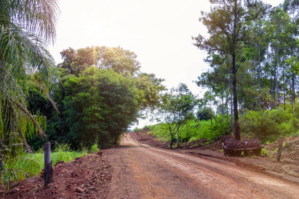 istock Road in the interior of Brazil. 1128307631