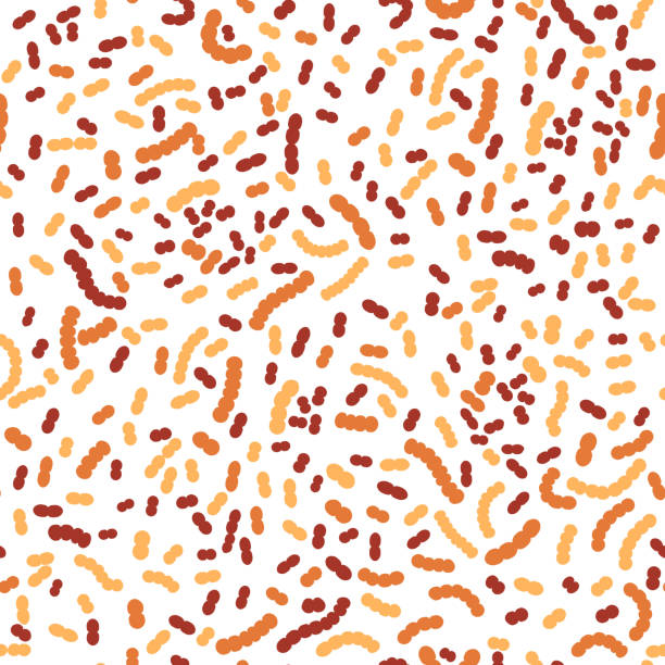 Lactobacillus acidophilus pattern Lactobacillus acidophilus seamless pattern. Lactic acid bacteria. Streptococcus Group. Editable vector illustration in brown, orange colors isolated on white background. Medical, healthcare and scientific concept. probiotic pattern stock illustrations
