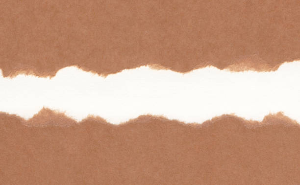 Closeup torn brown paper on grunge white paper texture background. Rip Paper note ,brown paper sheet with space for text ,pattern or abstract background. Closeup torn brown paper on grunge white paper texture background. Rip Paper note ,brown paper sheet with space for text ,pattern or abstract background. torn brown paper stock pictures, royalty-free photos & images