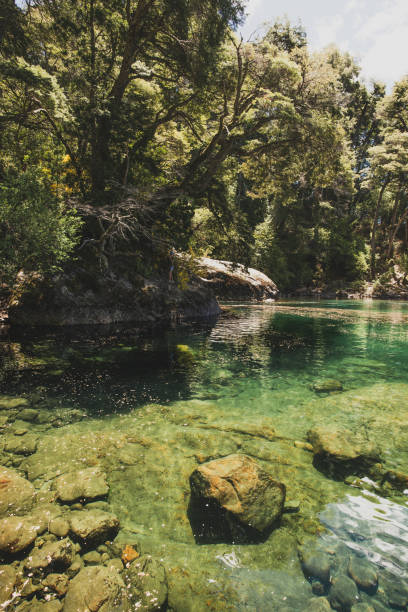 Villa La Angostura Nestled in the northern sector of the Nahuel Huapi National Park, surrounded by lakes, forests and mountains, it is considered one of the most beautiful towns in the Andean Patagonia, earning the nickname "Garden of Patagonia" luz solar stock pictures, royalty-free photos & images