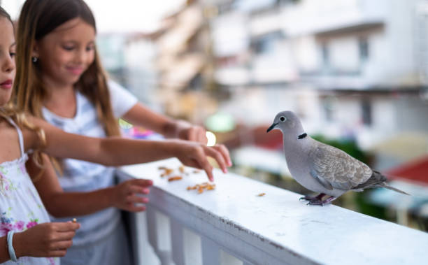 istock Two cute girls love birds 1128316900