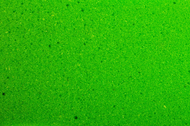 Texture of surface of unused green sponge closeup. The concept of hygiene and cleanliness.