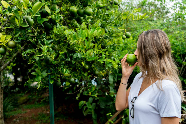 istock young woman smelling freshly picked lime 1128317143