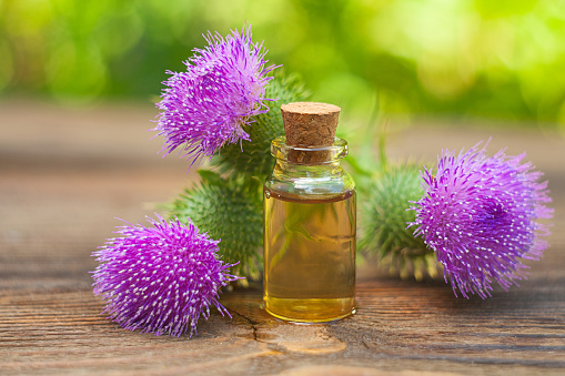 thistle essential oil in a beautiful bottle on the table
