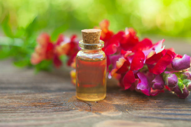 istock antirrhinum essential oil in  beautiful bottle on table 1128318573