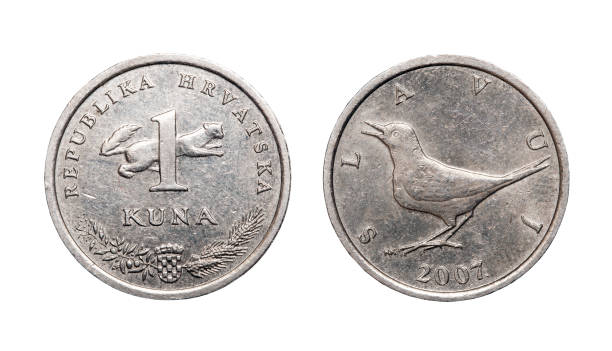 istock 1 croatian kuna coin (2007) reverse isolated on white background 1128319975