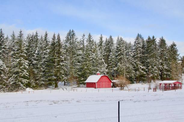 istock Rural Scene In The Winter 1128320869
