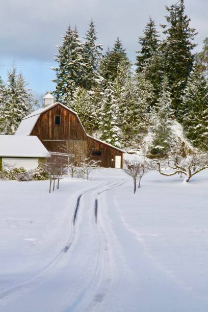 istock Snow Covered Driveway On  A Farm 1128321010