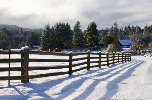 istock Country Fence Covered With Snow 1128324388